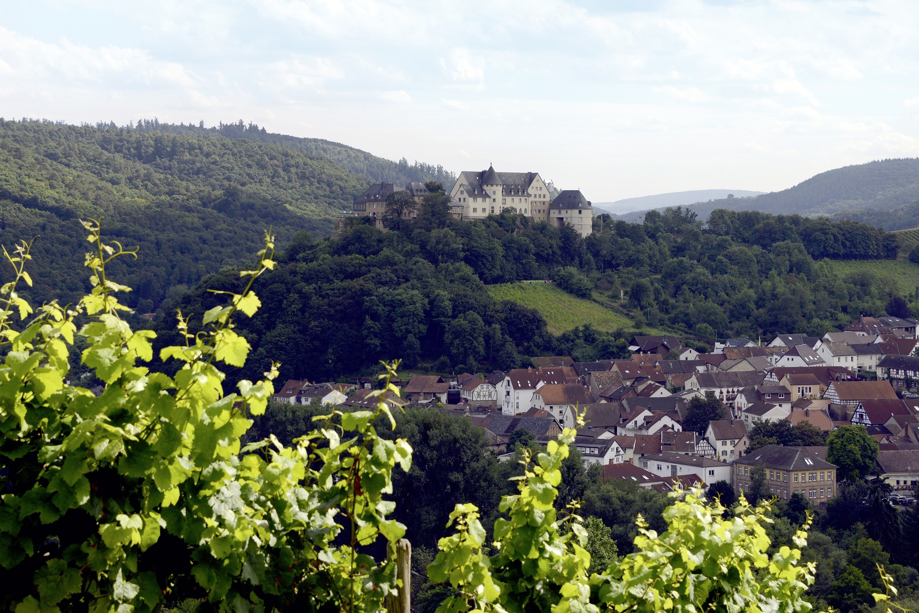 Fastenwandern Burg Ebernburg Pfalz 6.12.6.22 Lagom by Carlsson
